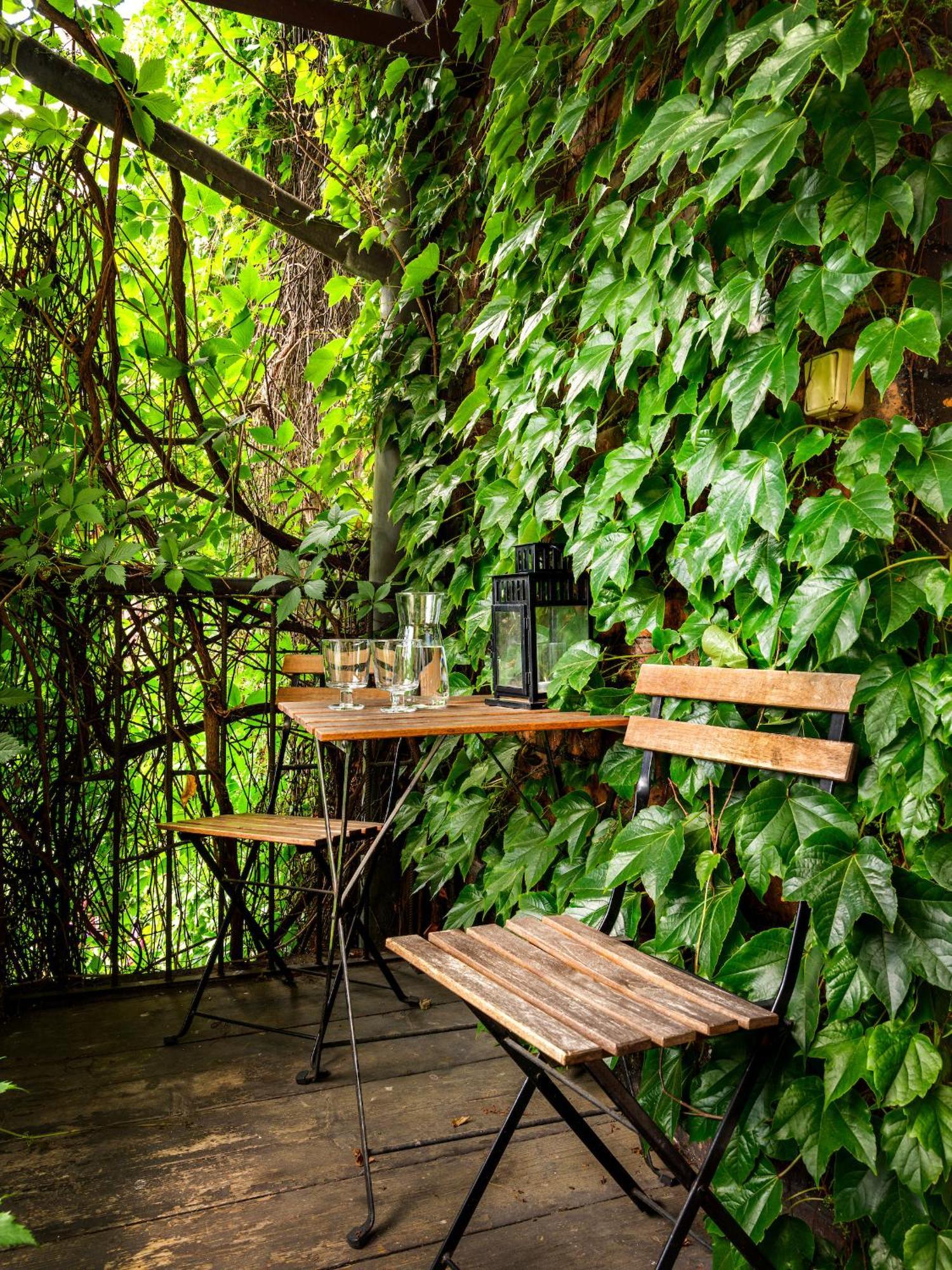 Tyzenhauz Apartments Superior 크라쿠프 외부 사진